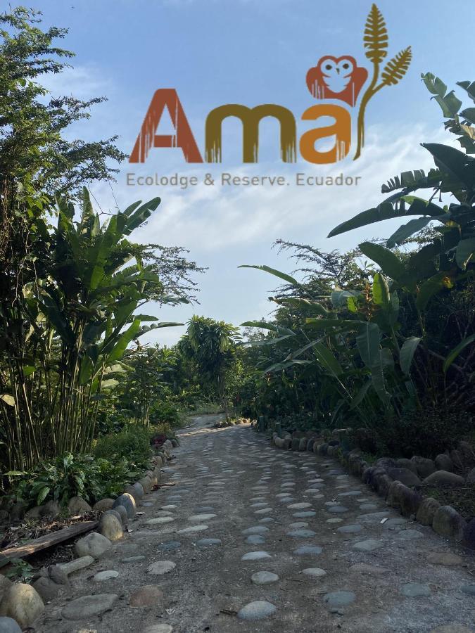 Puerto Misahuallí Ama Ecolodge מראה חיצוני תמונה