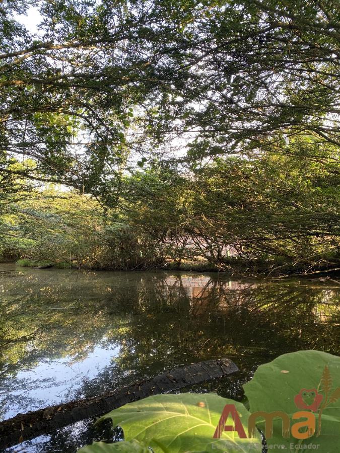 Puerto Misahuallí Ama Ecolodge מראה חיצוני תמונה